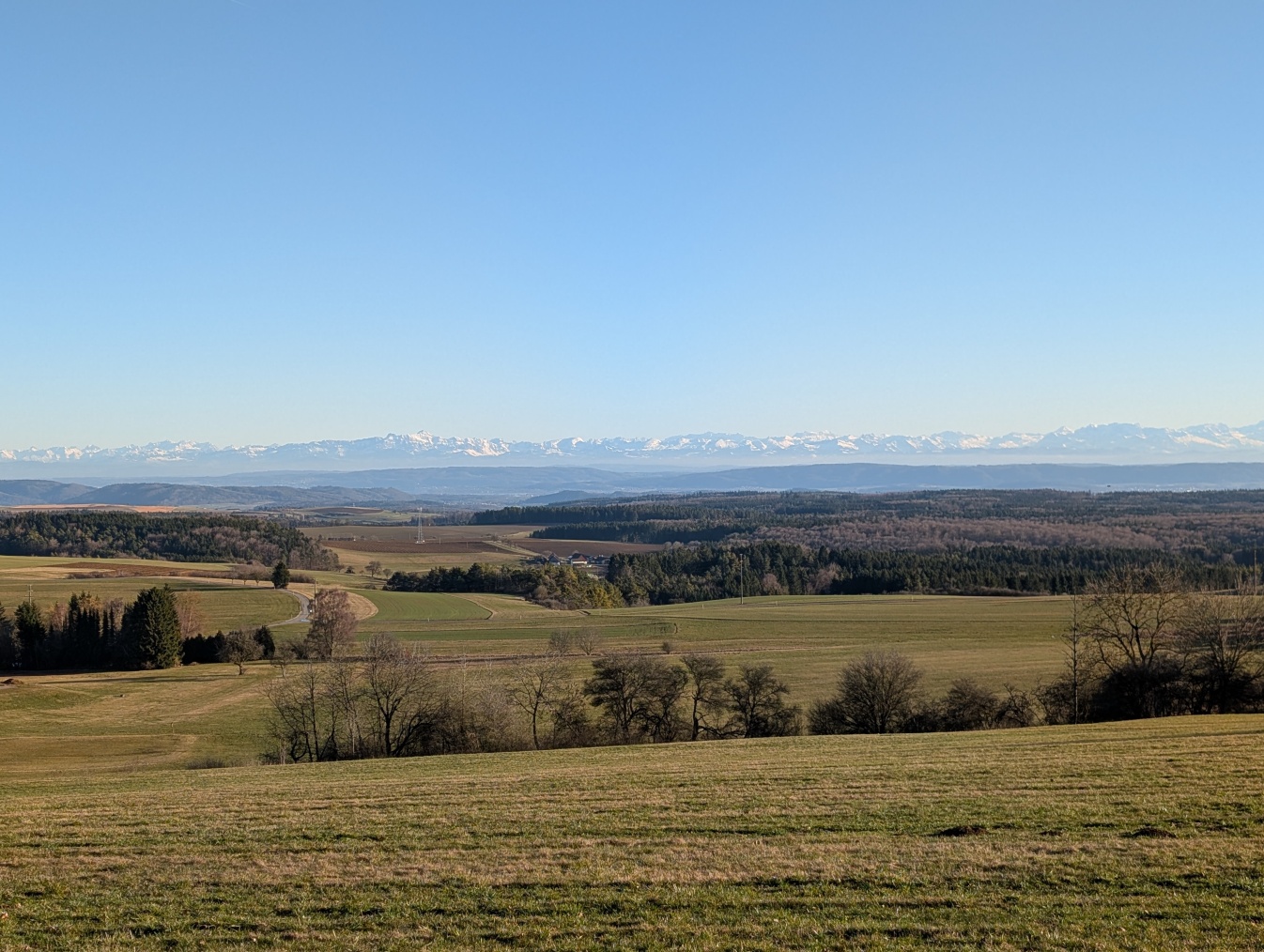 [Image: PXL_20260225_154836191.jpg]